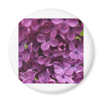 close up of dark purple lilac refrigerator magnet