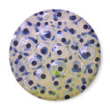 Close Up of Frogspawn Eggs Soon To Be Tadpoles magnets