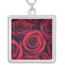 Close up of red rose flowers. personalized necklace