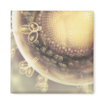 Close up of the structure of an HIV cell Magnets