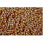 Close-up of unpopped popcorn kernels texture photo sculpture