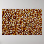 Close-up of unpopped popcorn kernels texture posters