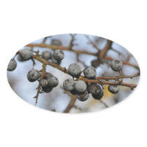 Close-up on black berries with a blured background sticker