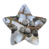 Close-up on black berries with a blured background sticker