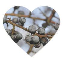 Close-up on black berries with a blured background stickers