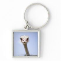 Close up Ostrich head Key Chains