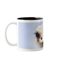 Close up Ostrich head Mugs
