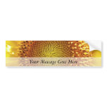 Close Up Peek into the Face of a Sunflower Bumper Stickers