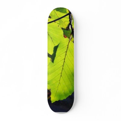 Close Up Photo Of Beech Leaves Skateboards by lifesphere