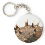 Close Up Photo Of Conker Thorns keychains