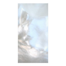 Close up Photo. Picture of a Seashell. Photo Card
