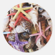 Close Up Sea Shell ans Starfish Photos Sticker