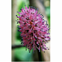 Close up shot of swamp pink photo sculptures