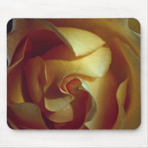 Close-up view of soft yellow rose mousepads