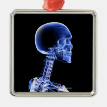 Close up x-ray of the bones in the neck ornaments