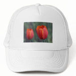 closer still trucker hats