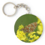 Clossiana euphrosyne keychain