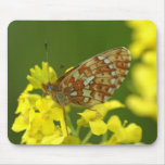 Clossiana euphrosyne mousepad