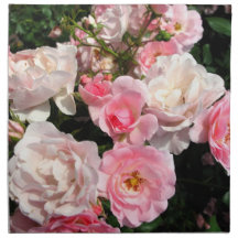 Cloth Dinner Napkins Rosesl