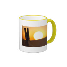 Clothes peg at sunrise mug