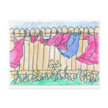 Clothesline Post Card