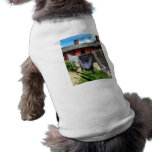 Clothing Hanging on Line Closeup pet clothing