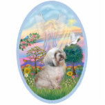 Cloud Angel and Lhasa Apso (L) Photo Cutout