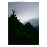 "Cloud Forest" Greeting Cards
