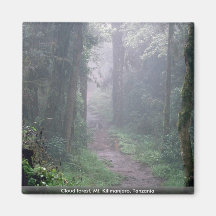 Cloud forest, Mt. Kilimanjaro, Tanzania Refrigerator Magnets