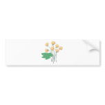cloudberries bumper stickers