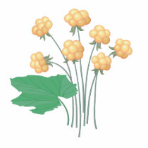 cloudberries cut outs