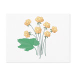 cloudberries post cards