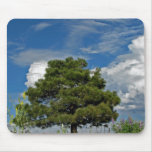 Clouds over The trees mousepads