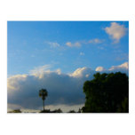 Clouds Palm Tree Post Card
