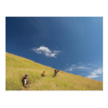 Clouds Post Cards