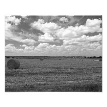 Cloudy Day Photo