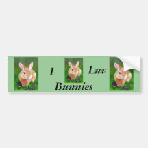 Clover Bunny Bumper Sticker