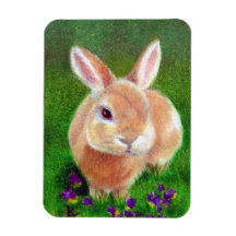 Clover Bunny Rectangle Magnets