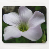 Clover flower mousepad