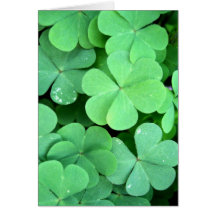 Clovers Cards