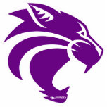 Clovis Wildcats Pin Acrylic Cut Out