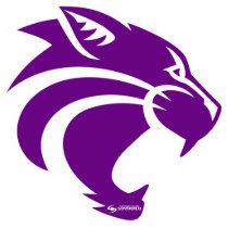 Clovis Wildcats Pin Acrylic Cut Out