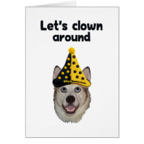 Clown Around Dog