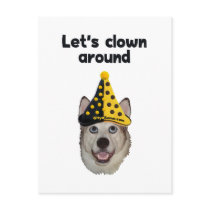 Clown Around Dog