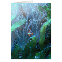Clown Fish Greeting Card