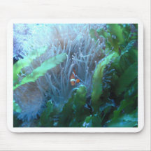 Clown Fish Mouse Pads