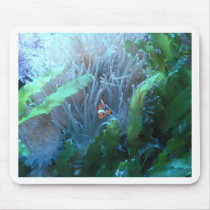 Clown Fish Mouse Pads