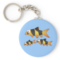 Clown loach family