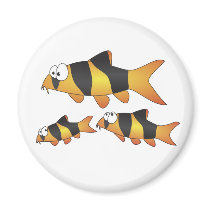Clown loach family