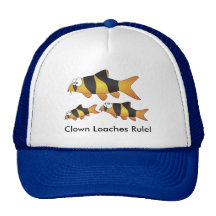 Clown loaches rule! - cool fish cap trucker hat